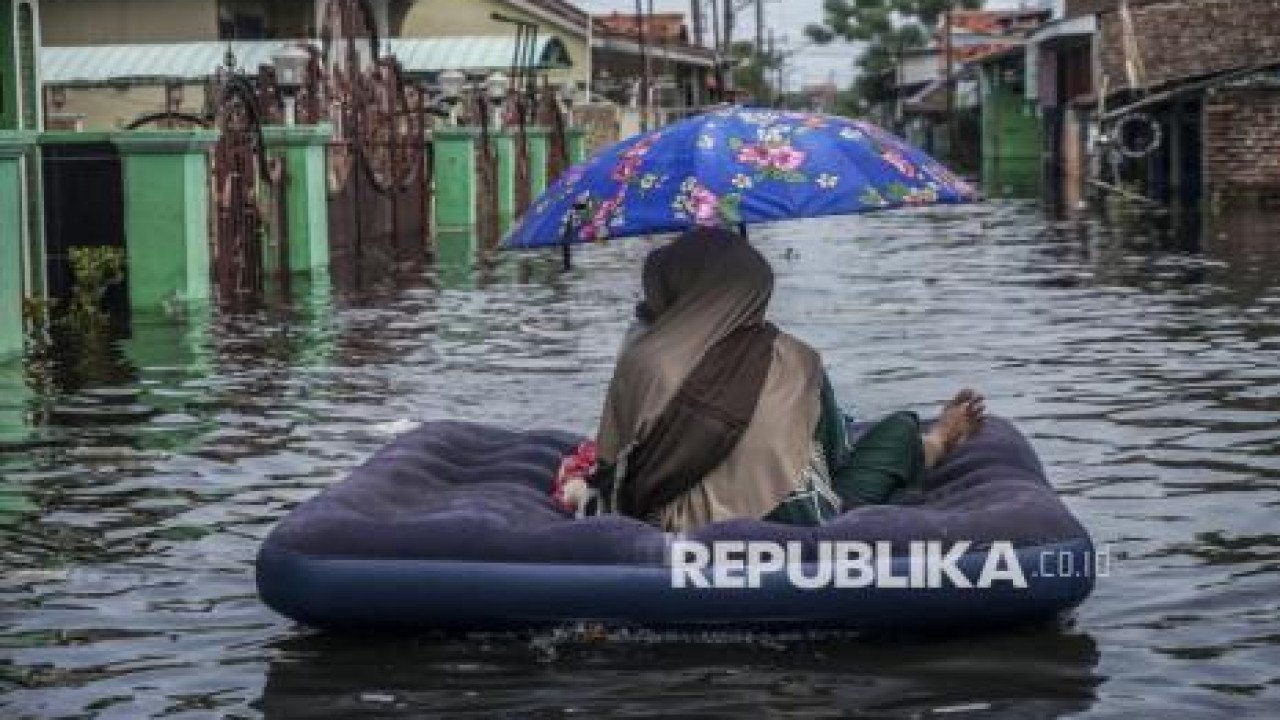 Banjir di Kota Pekalongan tanggal 23 November 2024