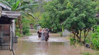 Banjir di Kab. Tapin tanggal 01 April 2025
