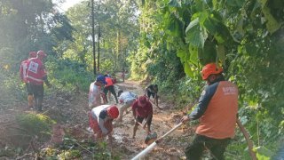 Dampak Banjir Desa Pujiharjo Tirtoyudo