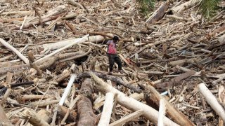 Banjir di Kab. Tapanuli Selatan tanggal 25 November 2025